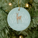 Search for mint christmas tree decorations Simple