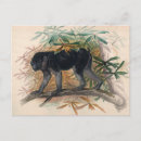 Search for ap postcards Nature
