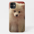 Search for pomeranian iphone cases Cute