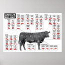 Search for beef cut posters Cuts