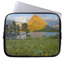 Search for swiftcurrent electronics Mountain