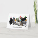 Search for wear cards Colourful