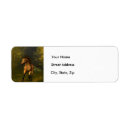 Search for buckskin Buckskin horse