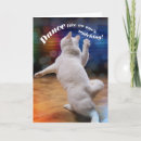 Search for dancing cat birthday cards Humour