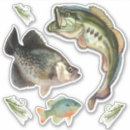 Search for fishing hook stickers Angler