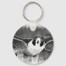 Search for peregrine falcon key rings Raptor