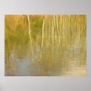 Search for pond reflection posters Trees