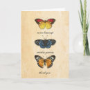 Search for papillons cards Mariposa