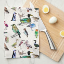 Search for birdlife Birds