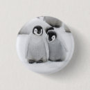Search for emperor badges Baby animals
