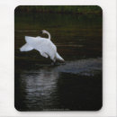 Search for trumpet mousepads White