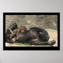 Search for chimp art Monkey