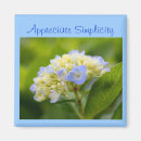 Search for hydrangea magnets Flower