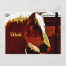 Search for horse profile postcards Animal