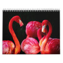 Search for flamingo calendars Nature