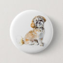 Search for shih badges Tzu