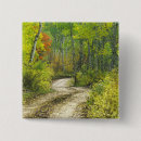Search for road tree badges Autumn