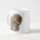 Search for macaque mugs Outdoors