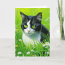 Search for tuxedo cat cards Black and white cats