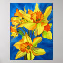 Search for yellow daffodil flowers posters Botanical