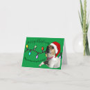 Search for haha cards Silly