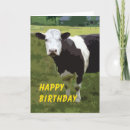 Search for black and white cow birthday cards Cows