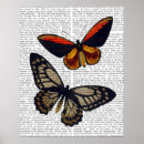 Search for flies art Flowers