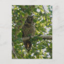 Search for ears postcards Nature