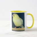 Search for canary mugs Bird