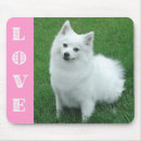 Search for american eskimo electronics Puppies