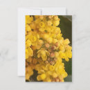 Search for comfort invitations Design