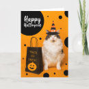 Search for witch hat halloween cards Pet