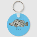 Search for humpback key rings Fish