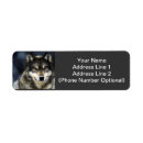 Search for gray wolf return address labels Wolves