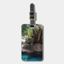 Search for mandrill accessories Monkey