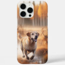 Search for hunting dogs iphone cases Animal