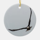 Search for big bird christmas tree decorations Nature