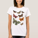 Search for moths tshirts Antique