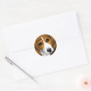 Search for beagle hound stickers Canine