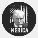 Search for merica stickers Flag