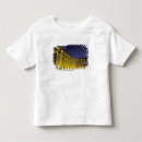 Search for luxor tshirts Architecture