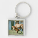 Search for red deer key rings Nature
