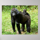 Search for lowlands posters Wildlife