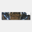 Search for white tigers bumper stickers Car