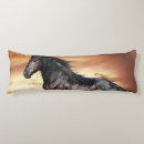 Search for horse cushions Animal