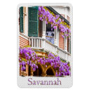 Search for southern magnets Souvenir