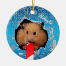 Search for hamster home decor Funny