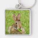 Search for bunny key rings Grass