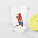 Search for rainbow macaw Rainforest