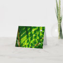 Search for palm note cards Summer